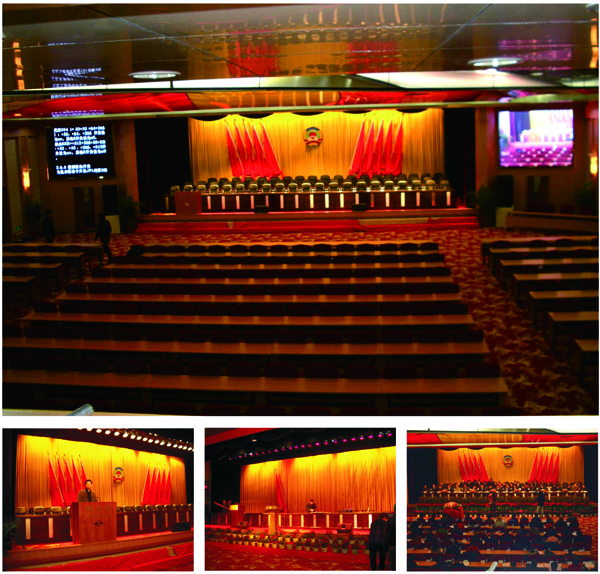 爵士龍案例-第十三屆人民代表大會第三次會議