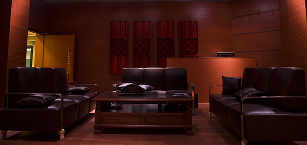 爵士龍專業(yè)KTV音響