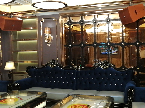 【JSL爵士龍案例】廣州寶絲捷生物科技音響項目工程