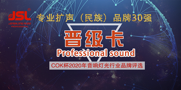 喜訊!JSL爵士龍音響晉級專業(yè)擴聲系統(tǒng)(民族)品牌30強