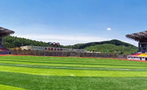 爵士龍專業音響設備成功助力鹿寨田徑運動場——基于Dante網絡架構現場音頻系統