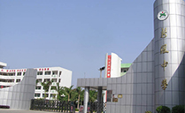 線陣音響系統入駐廣東東莞新風中學多功能體育館