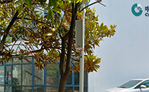 戶(hù)外 “聲” 態(tài)煥新！爵士龍音響賦能長(zhǎng)沙保險(xiǎn)學(xué)院智慧廣播